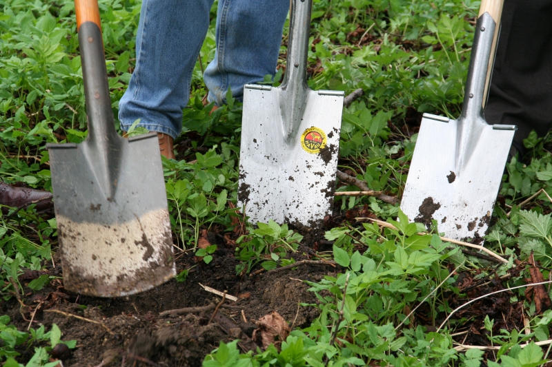 pepiniere-LA PENNE-min_work-lawn-flower-tool-green-backyard-1103633-pxhere.com